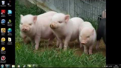 How To Install Single Player Commands Mod 1.7.3