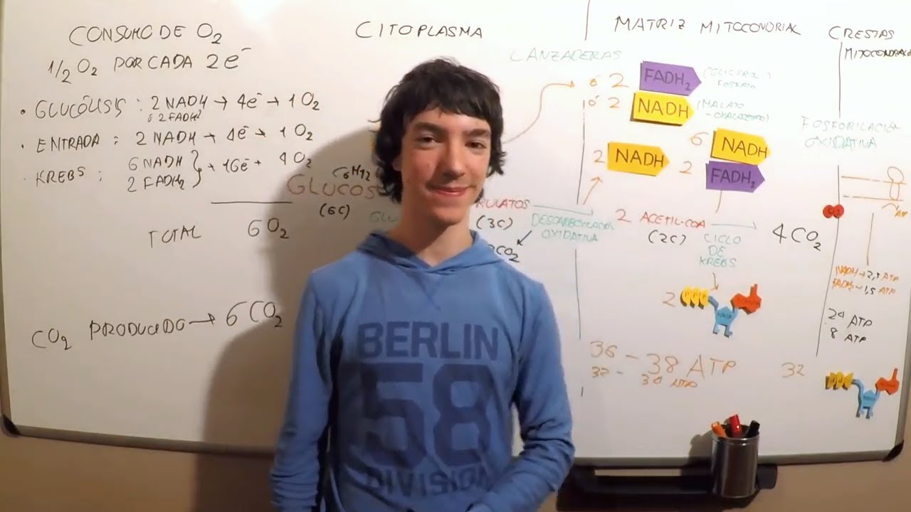 Balance Oxidación Glucosa (ATP, CO2, O2)