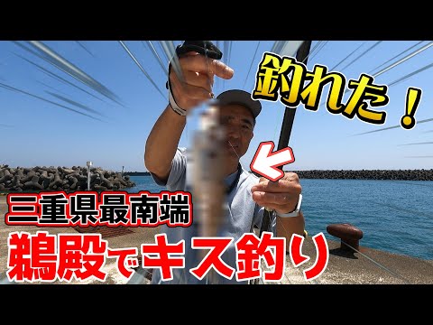 前回の尾鷲よりもさらに南下(笑) 今回は鵜殿港でのキス釣りですよ