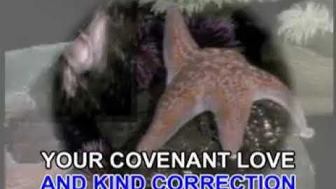 6. SHOW US THE ANCIENT PATHS - TOM INGLIS [ MEGAMEDIA ]