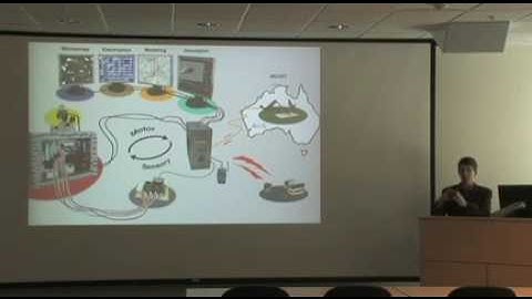 Multi electrode Array Dissociated Neuron Culture Hybrot Animat - Steve Potter