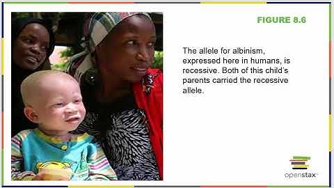 Biology 100 OpenStax Chapter 8 Genetics