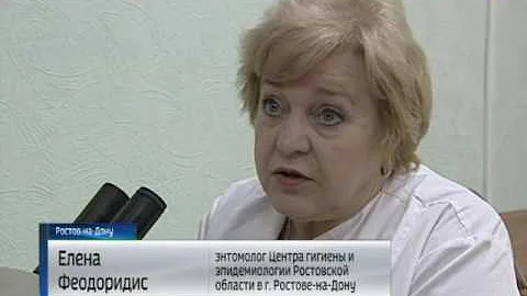Крымская геморрагическая лихорадка: с каждым годом опасных клещей на Дону все больше