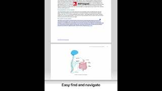 Back to School Made Easy | PDF Expert All-in-One PDF Editor #pdf #bts #tech