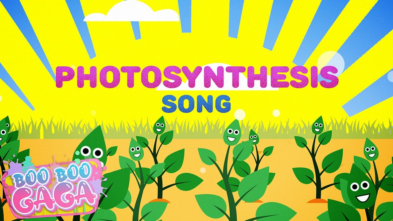 photosynthesis song