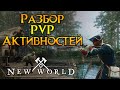 Особенности PvP в New World MMORPG