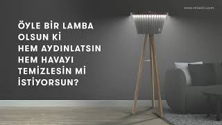 Hem Havanı Temizlesin Hem Evini Aydınlatsın Mia Air Lamp Ğı