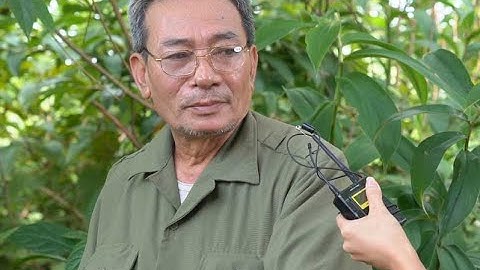 LƯƠNG Y HOÀNG XUÂN QUÝ - HỖ TRỢ BÀ CON SỎI THẬN, SỎI MẬT, SỎI BÀNG QUANG