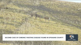 Second case of chronic wasting disease found in Spokane County