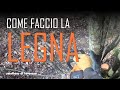 Come fare la legna nel bosco