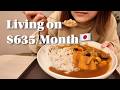 36, Unemployed & Living on $635/Month in Japan 🇯🇵 | Microwave Curry Night | Vlog