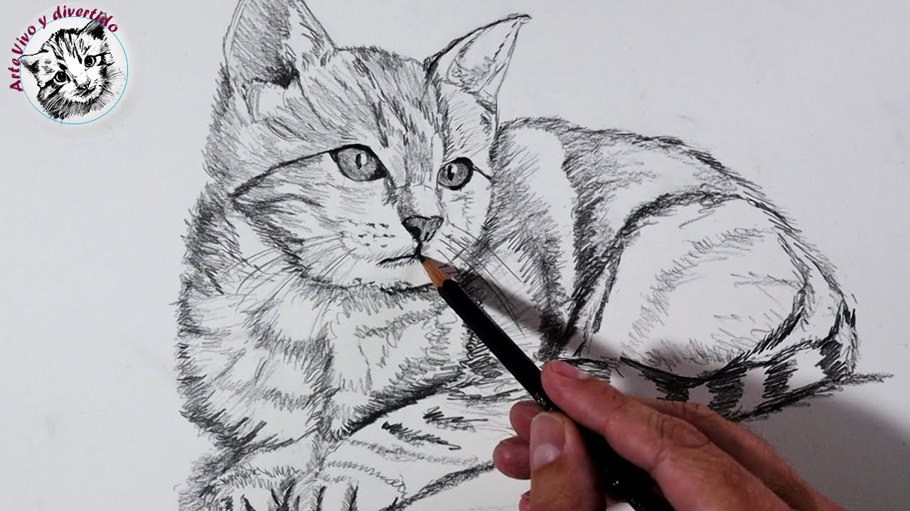 Top 55+ imagen dibujos de gatos realistas