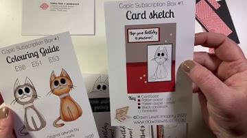 Haul Video ~ Dawn Lewis Copic Subscription Boxes #1 & #2