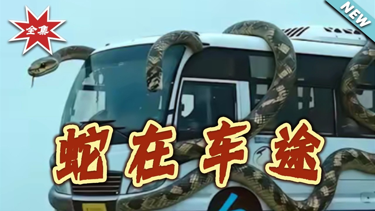 【大结局完整版】蛇在车途第1-34集：志怪反转打脸虐渣全集