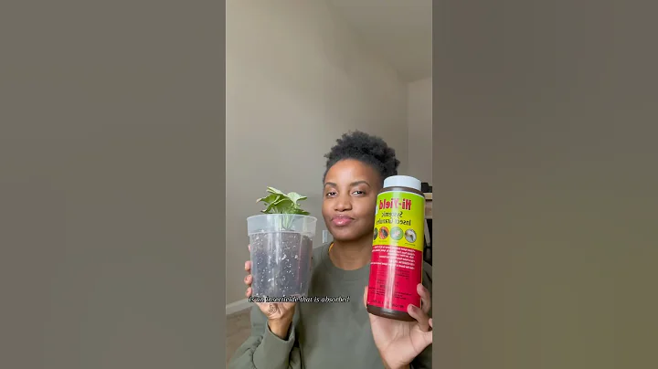 What are systemic granules? #plantscare #indoorplants