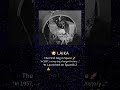 The First Animal in Space: Laika's Incredible Story #space #shortvideo #shorts #viral