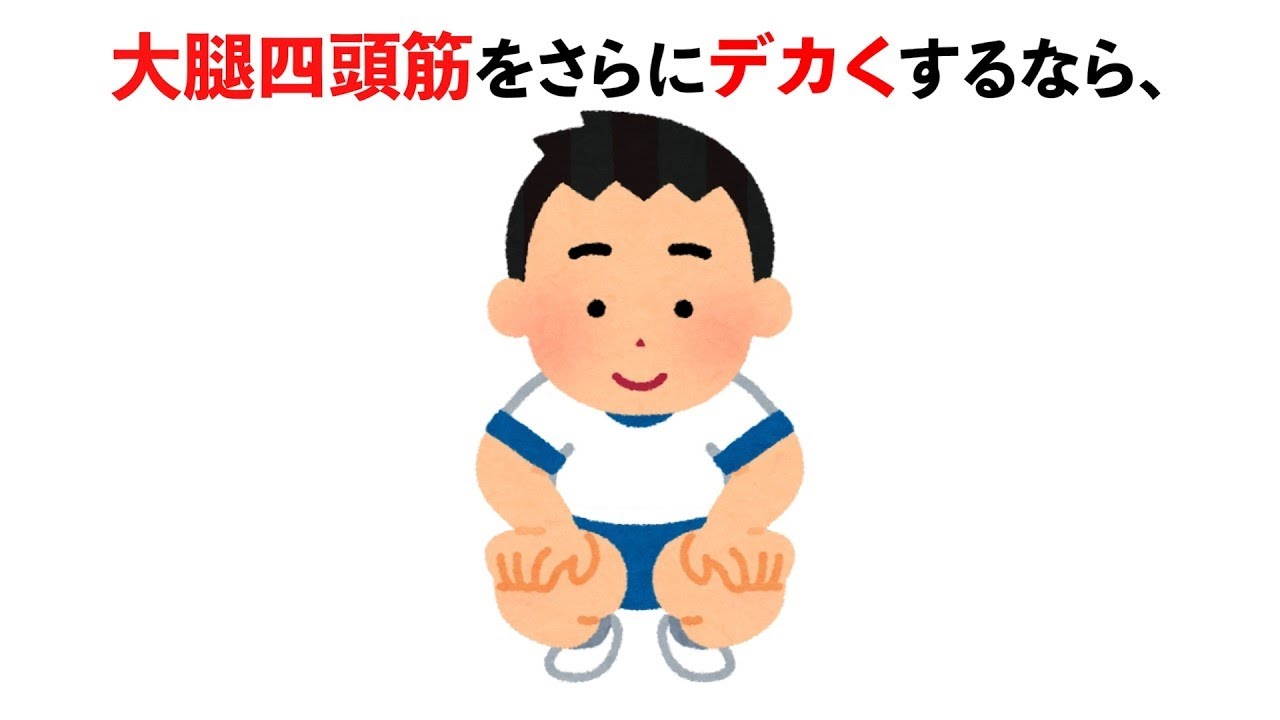【脳筋】大腿四頭筋を鍛える脚トレのおすすめ種目の雑学　