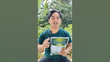 Pakai Pupuk Cal-Ha dan Premino untuk mengatasi Kerontokan Bunga! #benihonline