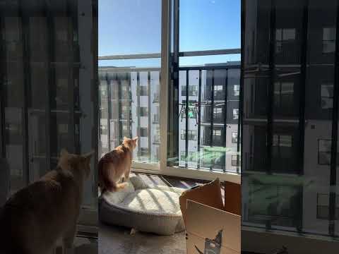 هل تسيطر الروبوتات على العالم عبر 13