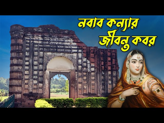 Ona oglini mushuk va eshagi bilan tinchlantiradi