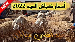 أسعار المواشي و كباش العيد 2023 بسوق سطيف #ملخر