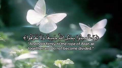 سورة آل عمران الآية {103} القارئ محمد صديق المنشاوي