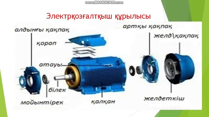 Бля, ол не деп айғайлап жатыр?