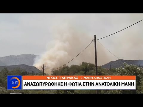 Αναζωπυρώθηκε η φωτιά στην ανατολική Μάνη | Μεσημεριανό Δελτίο Ειδήσεων 23/8/2020 | OPEN TV