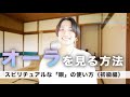 【誰でも出来る】オーラを霊視で見る簡単な練習🦄