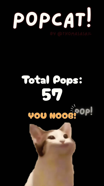 27 de novembro de 2025