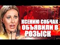 Ксению Собчак объявили в Розыск