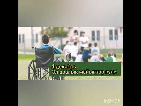 Video: Майыптар коляскасын кантип тандоо керек?