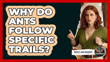 Why Do Ants Follow Specific Trails? - Insects and Invaders