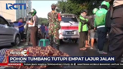 Ojol di Jakarta Barat Tewas Tertimpa Pohon Tumbang - SIP 19/08