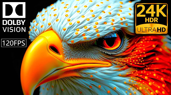 ANIMAL KINGDOM 24K HDR – 4K Forest Wonders in 120FPS (Dolby Vision)