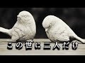 この世に二人だけ/中島みゆき [歌ってみた]歌詞付  