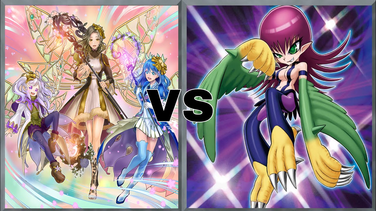 Yu-Gi-Oh Master Duel Aromage Vs Toon