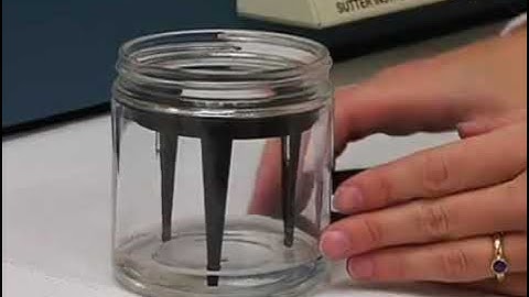 The Air-phase Electroolfactogram Recording was utilized to analyze the responses of mouse olfactory