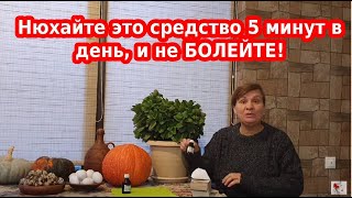 Забытое средство победит любой вирус и простуду - незаслуженно забытое средство