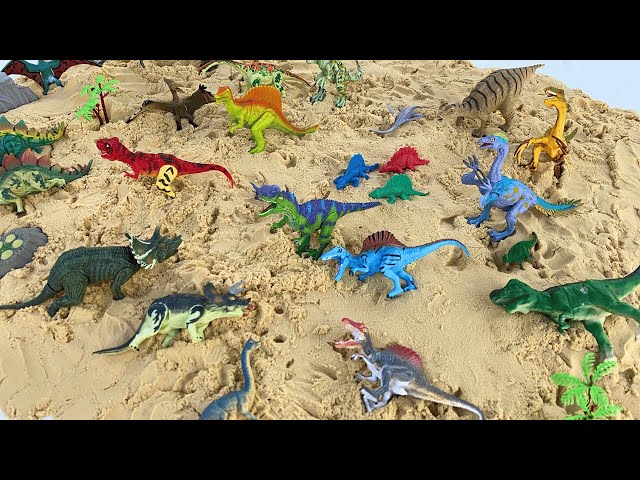 Dinosaurs On The Sand! Velociraptors, Spinosaurus, Pteranodon, Triceratops, T Rex class=