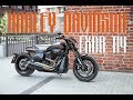 Harley-Davidson Softail FXDR-114 - двухколёсный мускул-кар из Америки. Нераритетов обзор.