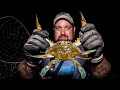 Catching Blue Crabs at Night | Living Off The Land and Sea