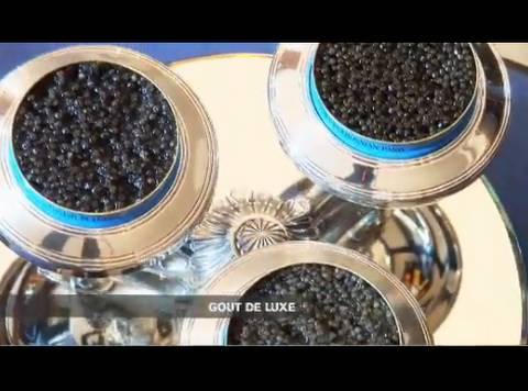 Vidéo: Comment choisir du caviar rouge de bonne qualité