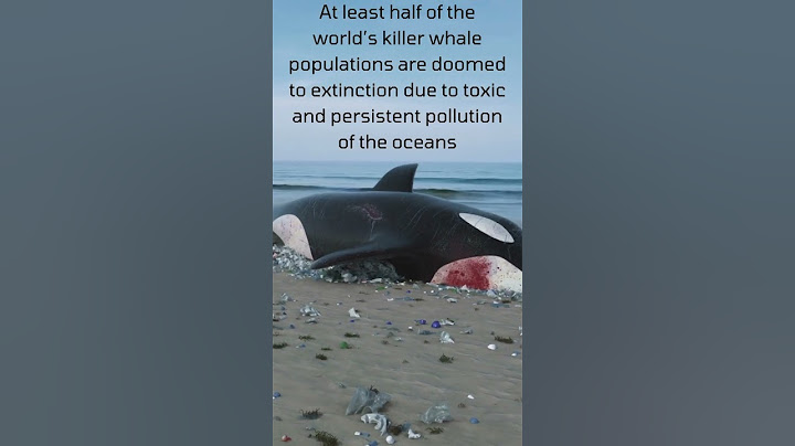 Killer whale getting extinct. #shorts #whale #killerwhales #orcas