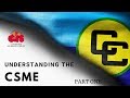 Understanding the CSME Part 1