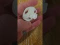 Day 134 Of 3D Printing Every Day Until I Hit 1K Subscribers!