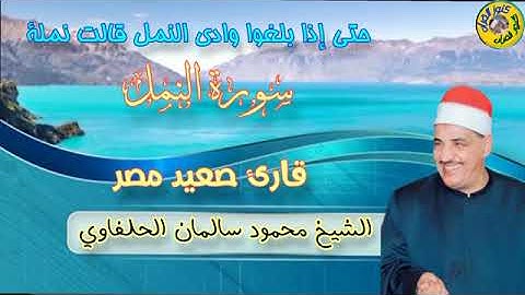 سورة النمل قارئ صعيد مصر الشيخ محمود سالمان الحلفاوي 26-6-2023 #المنشاوي