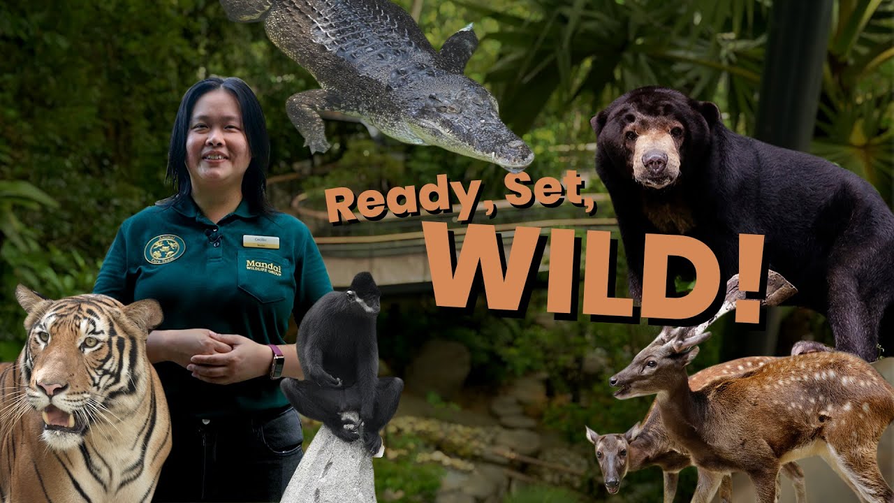 Ready, Set, Wild! Here’s a look at what it takes to create and shape a home for the wild.