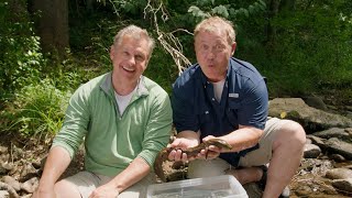 The Kratt Beothers Search For Hellbender Salamanders Wild Kratts Salamander Streaming