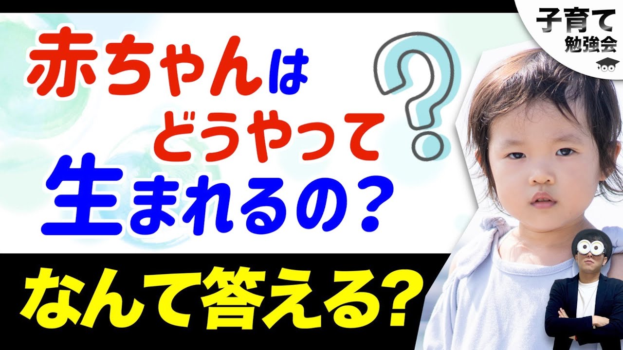 1~12歳【クイズ！何問正解できる？】子どもから性についての質問をされたらどう答える？『乳幼児〜小学生の性教育』/子育て勉強会TERUの育児・知育・幼児教育・家庭教育講義